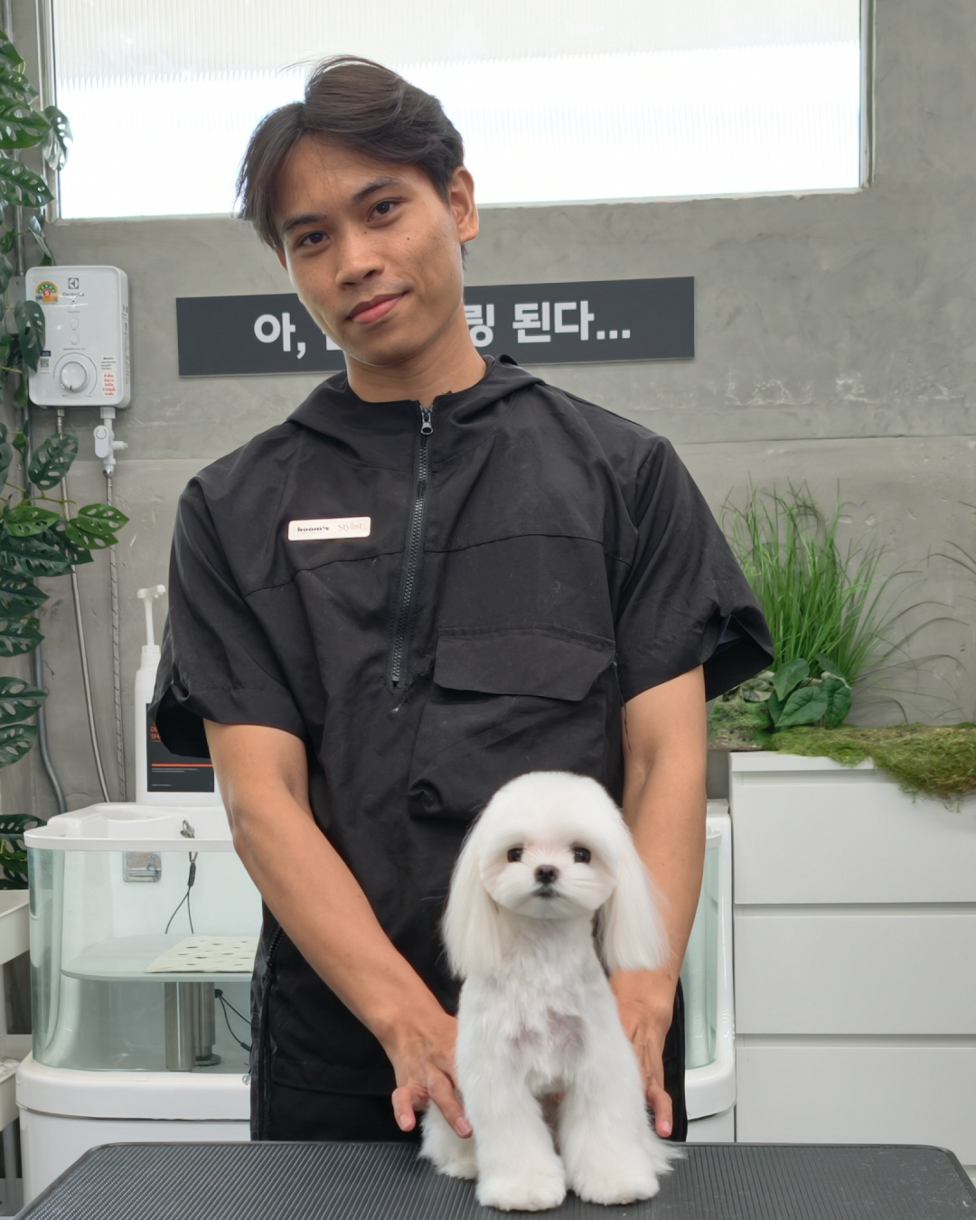 Boat, Groomer at Boom's Dog Styling Studio